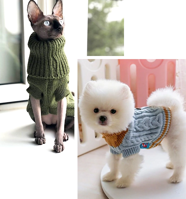 Comfortable Clothing for Pets in Autumn headline