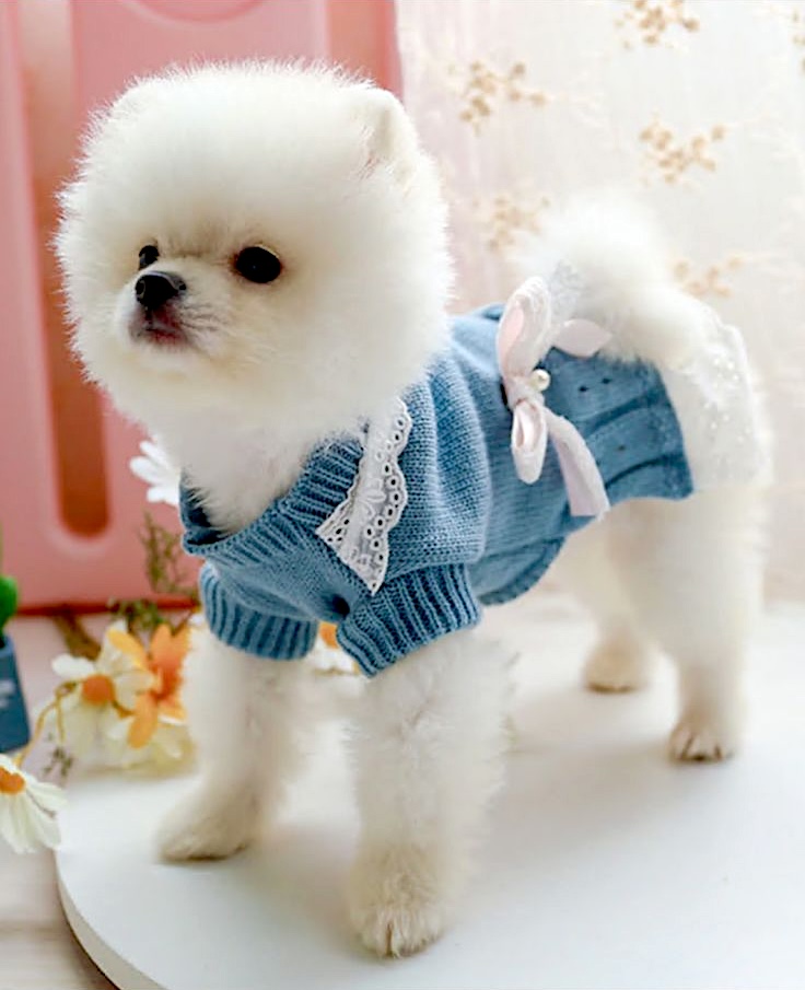 warm knitted pets clothes
