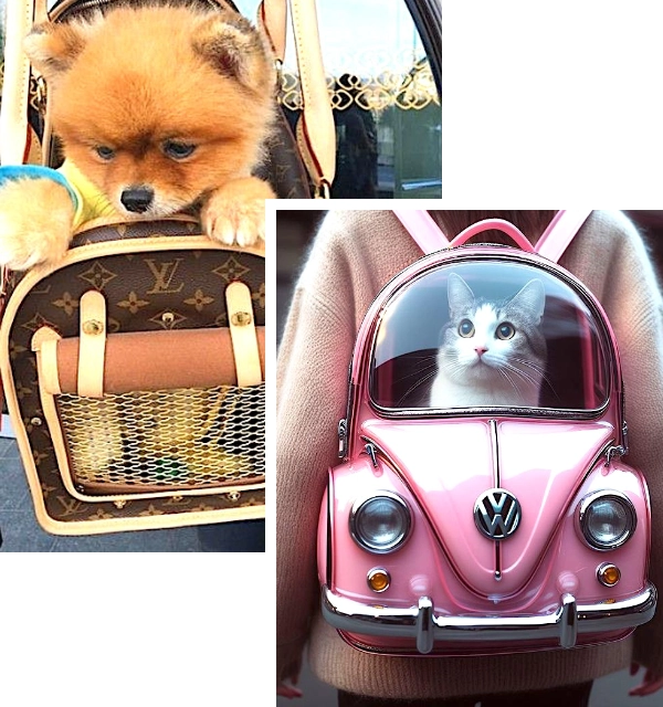 Comfortable and Stylish Pet Bags: Top Picks for Travel, Walks, and Everyday Use headline