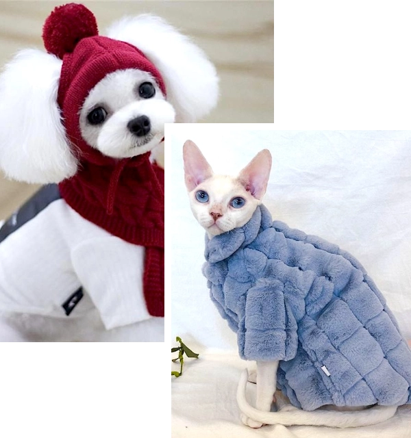 Essential Winter Clothes for Pets: Keep Your Furry Friends Warm and Stylish This Season headline