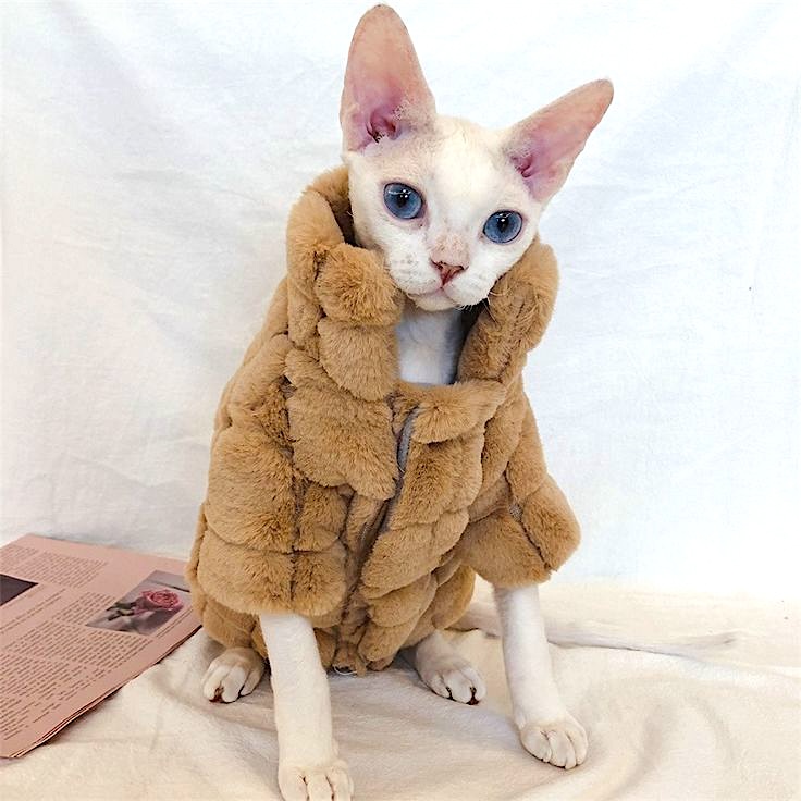 soft and warm fur coat for cats